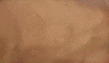 瓷磚小知識(shí):全動(dòng)圖教你如何鋪貼瓷磚_4 瓷磚小知識(shí):全動(dòng)圖教你如何鋪貼瓷磚_4